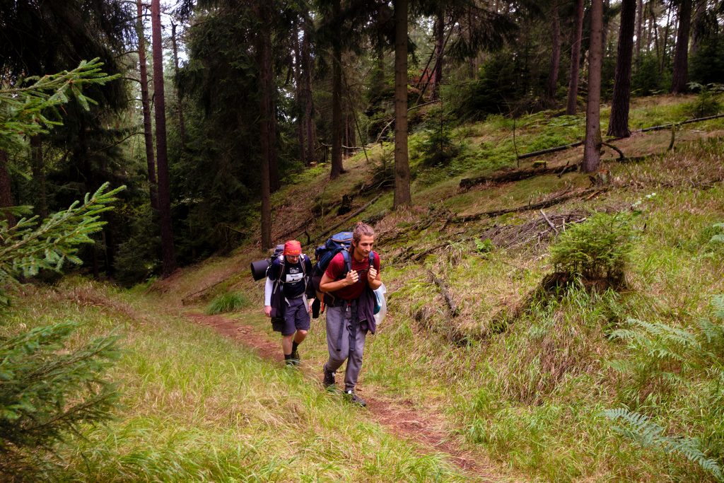Wandern Fernwandern Forststeig Deutschland Elbsandstein