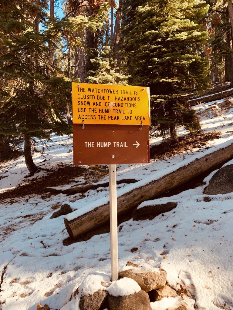 Sequoia National Park USA California Roadtrip Wandern Hiking