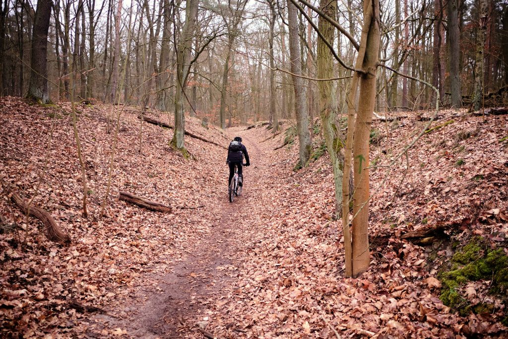 Berlin Brandenburg Grunewald Mountainbike Gravelbike