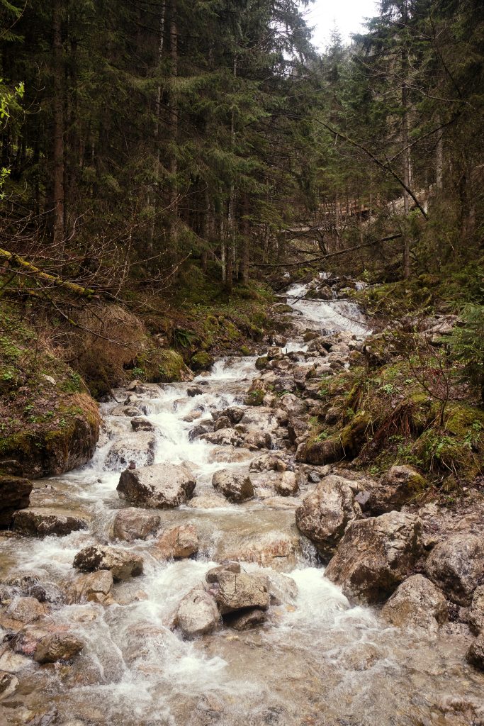 Bayern Berchtesgadener Land Jenner Wandern Hiking