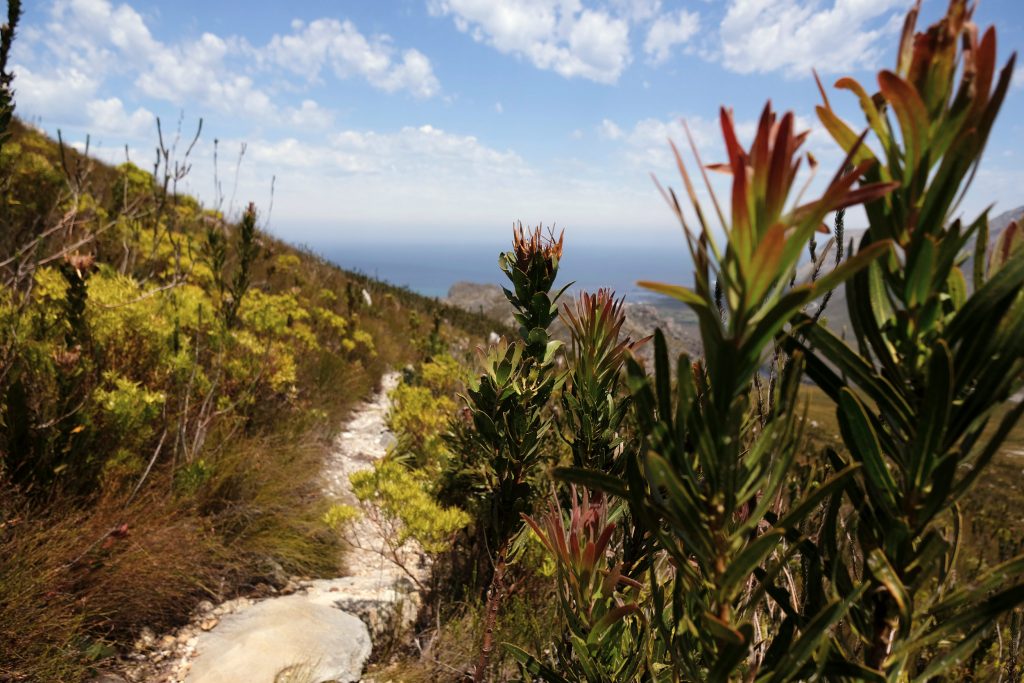 Cape Town South Africa Hiking Kogelberg Three Sisters Trail