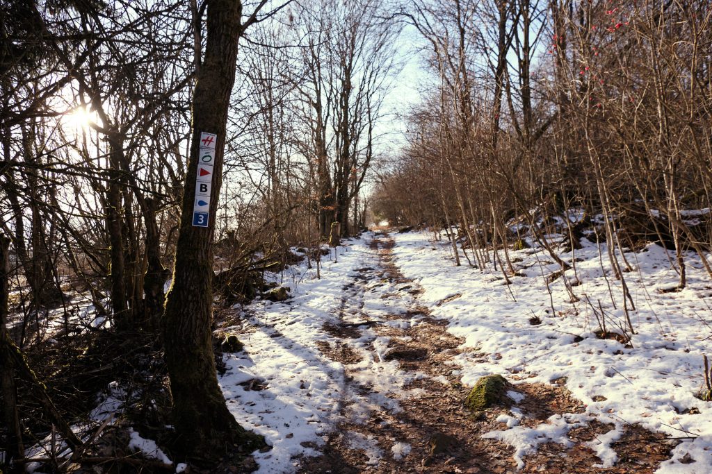 Hochrhoen Rhoen Winterwanderung Hiking Schneetour