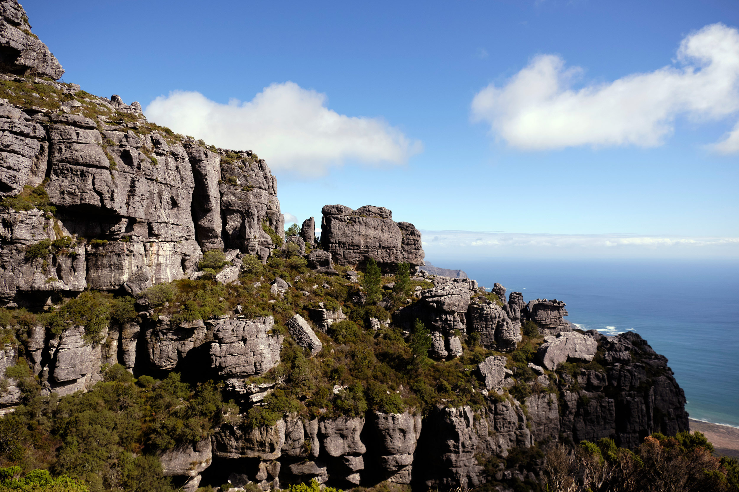 India Venster Cape Town Southafrica Hiking Climbing Table Mountain