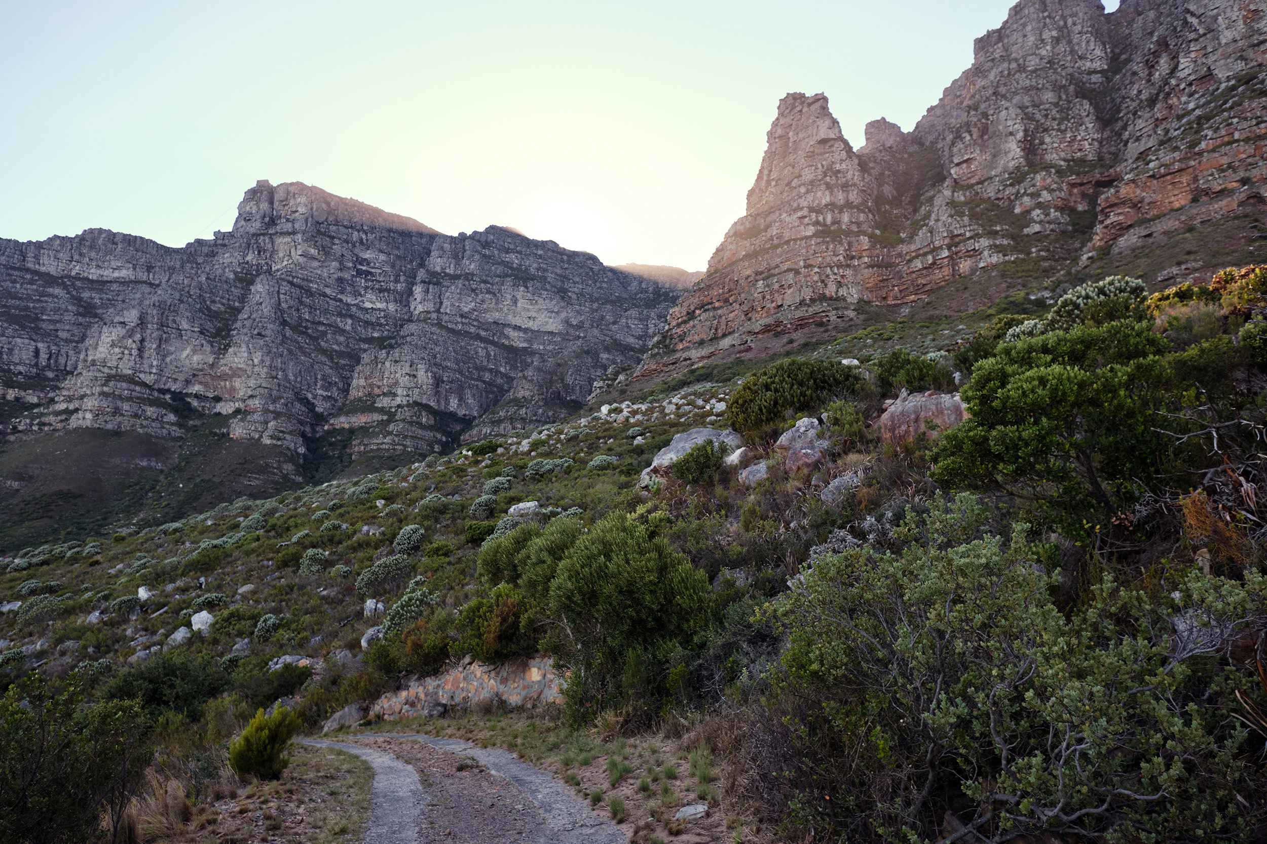 Table Mountain Skeleton Gorge Cape Town Hiking South Africa