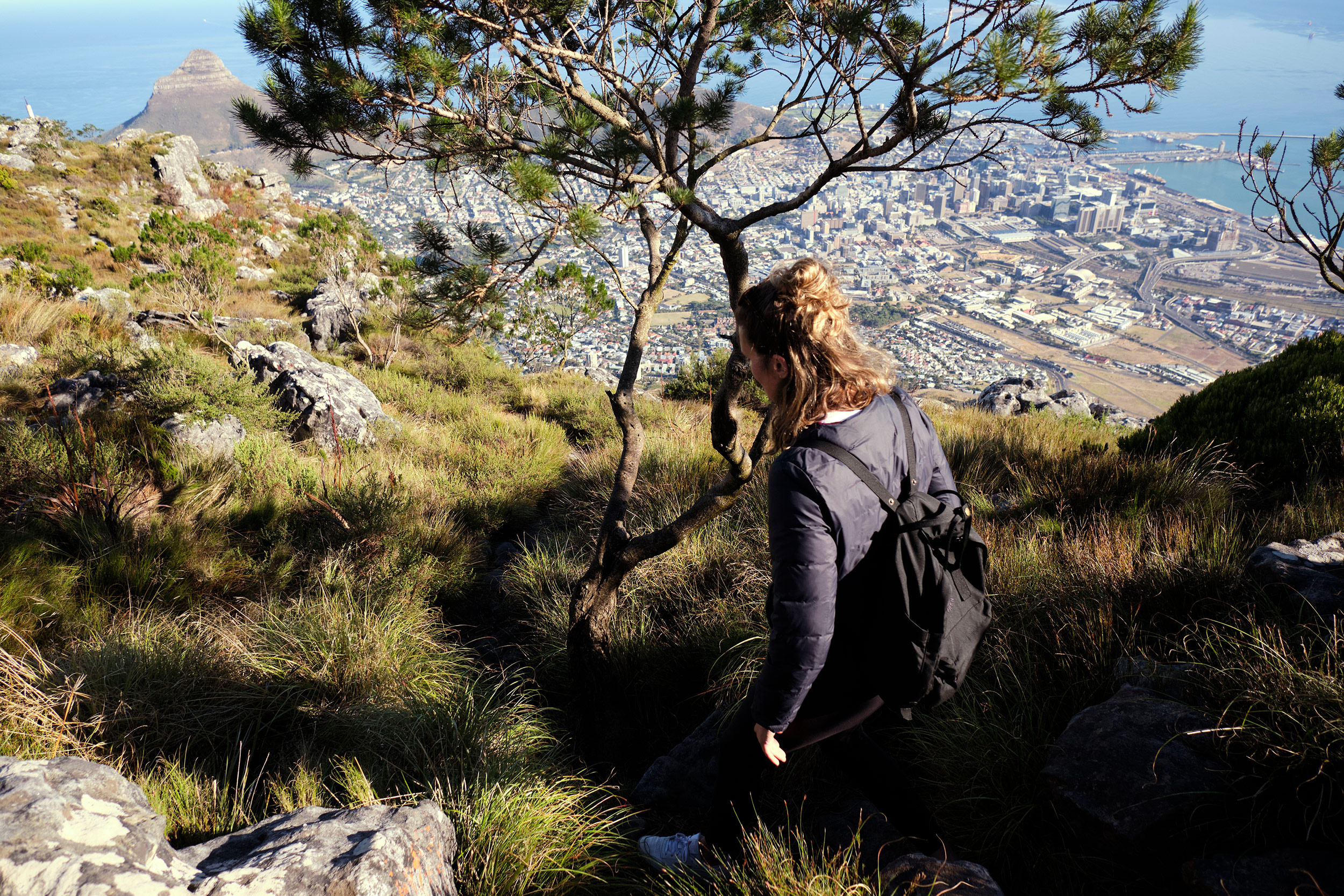 Devils Peak Cape Town Tafelberg Hiking South Africa