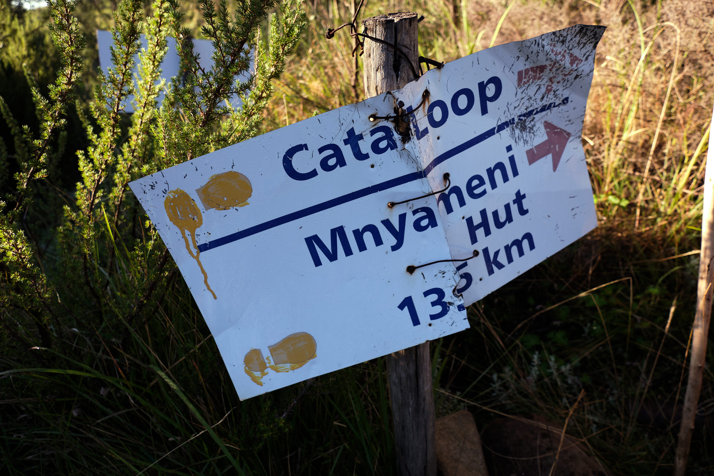 Amatola Trail South Africa Hiking Eastern Cape Hogsback